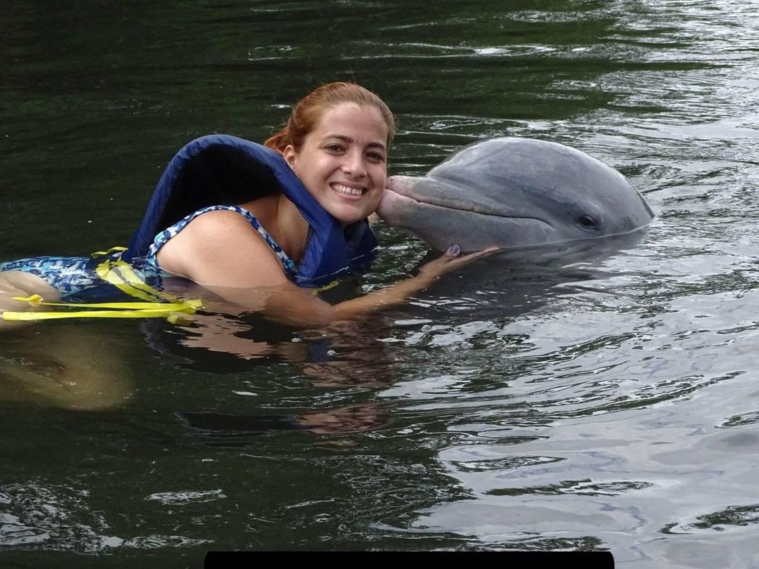 Imagen_Dolphinarium.